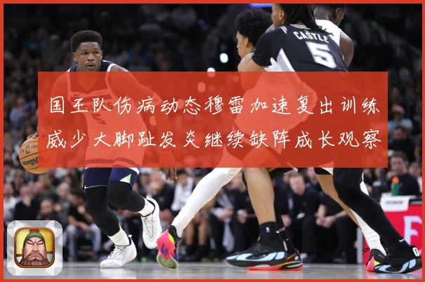 国王队伤病动态穆雷加速复出训练威少大脚趾发炎继续缺阵成长观察：最新赛事动态与深度分析
